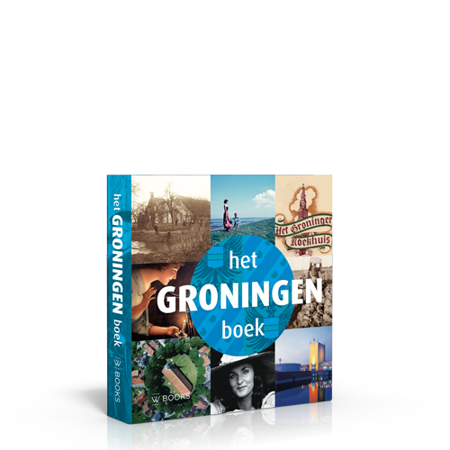 Het Groningen Boek 3e Druk Wbooks