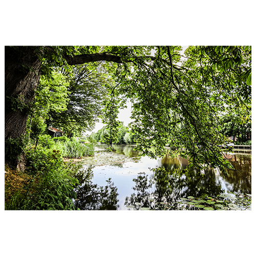 Veelstromenland - Het grote kleine rivierenboek