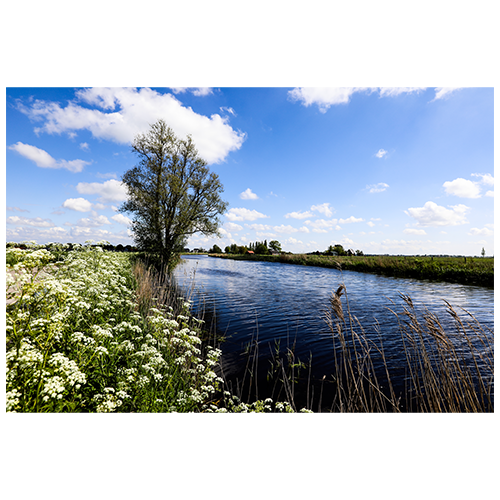 Veelstromenland - Het grote kleine rivierenboek