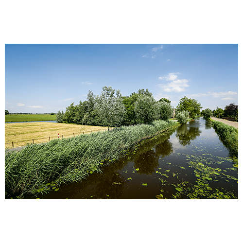 Veelstromenland Het grote kleine rivierenboek