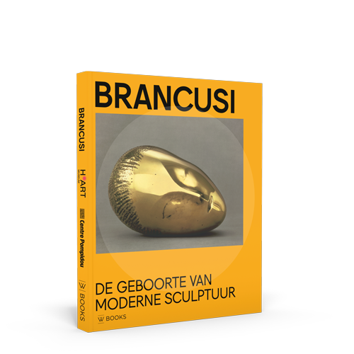 Cover Brancusi, de geboorte van moderne sculptuur