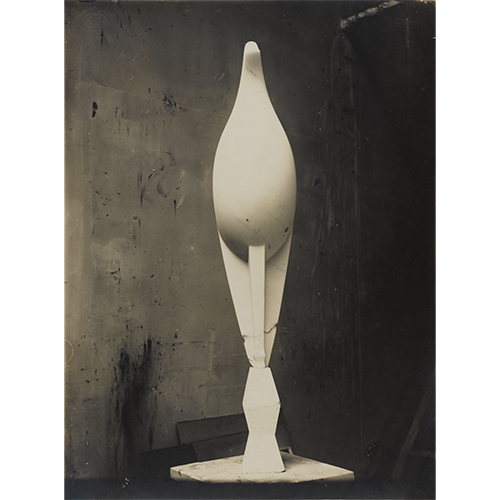 Afbeelding uit het boek Brancusi. De geboorte van moderne sculptuur