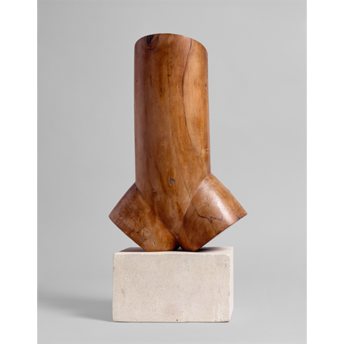 Afbeelding uit het boek Brancusi. De geboorte van moderne sculptuur