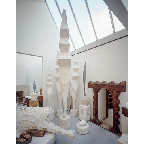 Afbeelding uit het boek Brancusi. De geboorte van moderne sculptuur