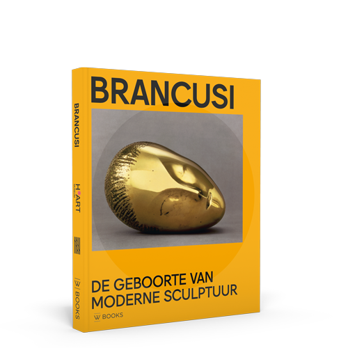 cover Brancusi