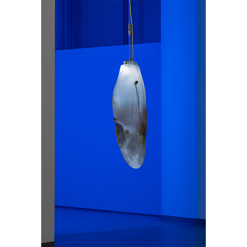 Website 1