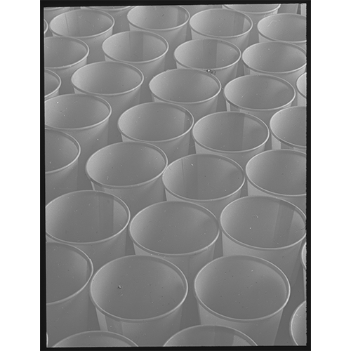Website 2